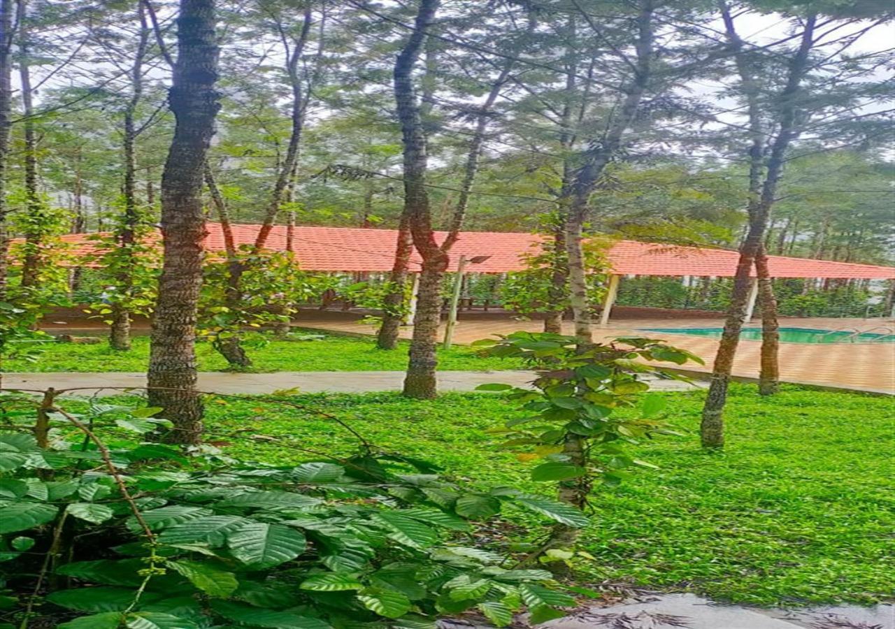 Water View Holiday Retreat Sakleshpur Exterior foto